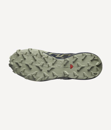Кроссовки SPEEDCROSS 6 GTX (RU 45.5 UK 11.5 USm 12 СМ 29.5; grisaille/carbon/tea)